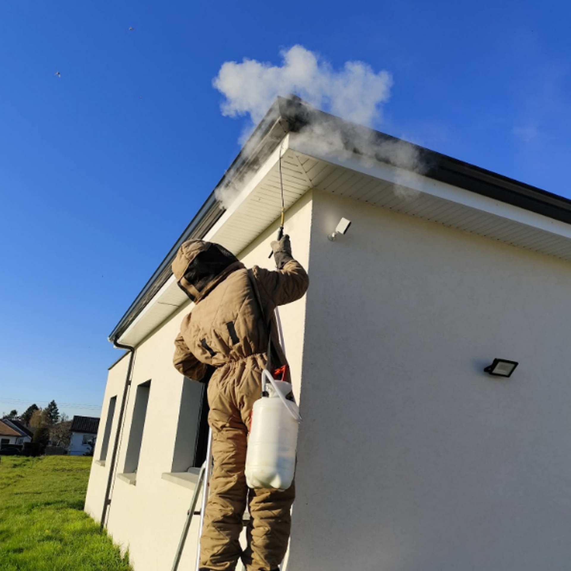 technicien Destruction guêpes et frelons Épinal